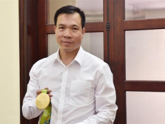 Ảnh bìa bài viết 389178