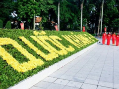 Ảnh bìa bài viết 389187