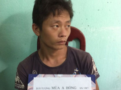 Ảnh bìa bài viết 389337
