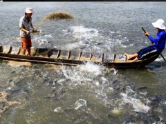 Ảnh bìa bài viết 389382