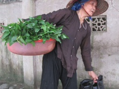 Ảnh bìa bài viết 389652