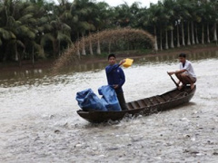 Ảnh bìa bài viết 389883