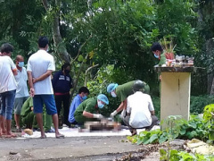 Ảnh bìa bài viết 389782