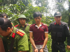 Ảnh bìa bài viết 390246