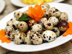 Ảnh bìa bài viết 390144