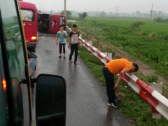 Ảnh bìa bài viết 390310