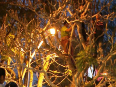 Ảnh bìa bài viết 390496