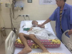 Ảnh bìa bài viết 390595