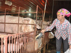 Ảnh bìa bài viết 390336