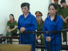 Ảnh bìa bài viết 390341
