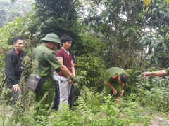 Ảnh bìa bài viết 390623