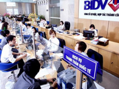 Ảnh bìa bài viết 390704