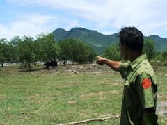 Ảnh bìa bài viết 390901