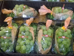 Ảnh bìa bài viết 390650