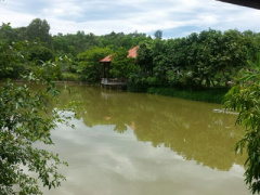 Ảnh bìa bài viết 390848