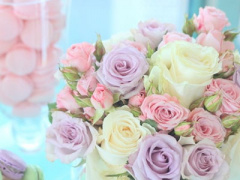 Ảnh bìa bài viết 390648