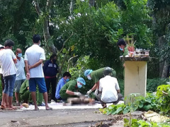 Ảnh bìa bài viết 390802