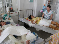 Ảnh bìa bài viết 390946
