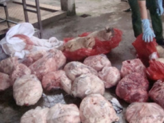 Ảnh bìa bài viết 391024