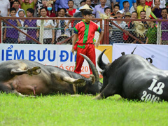 Ảnh bìa bài viết 391114