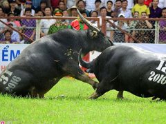Ảnh bìa bài viết 391327