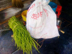 Ảnh bìa bài viết 391195