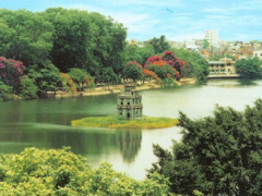 Ảnh bìa bài viết 391463