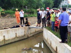 Ảnh bìa bài viết 391457