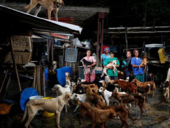 Ảnh bìa bài viết 391671