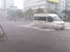 Ảnh bìa bài viết 391784