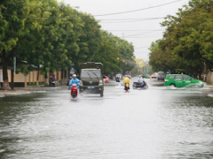 Ảnh bìa bài viết 391815