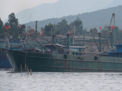 Ảnh bìa bài viết 391795