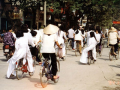 Ảnh bìa bài viết 391890