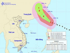 Ảnh bìa bài viết 392133