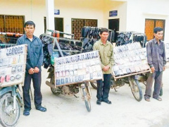 Ảnh bìa bài viết 392430