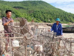 Ảnh bìa bài viết 392433