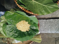 Ảnh bìa bài viết 392642