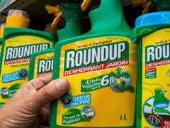 Ảnh bìa bài viết 392526