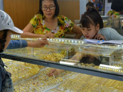 Ảnh bìa bài viết 392870