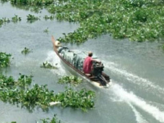 Ảnh bìa bài viết 392746