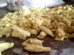 Ảnh bìa bài viết 392780