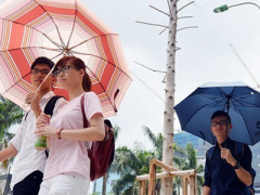 Ảnh bìa bài viết 393077
