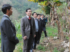 Ảnh bìa bài viết 393095