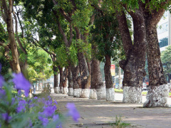 Ảnh bìa bài viết 393021
