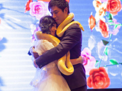 Ảnh bìa bài viết 393119