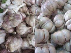 Ảnh bìa bài viết 393301