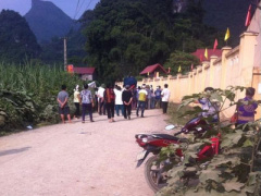 Ảnh bìa bài viết 393521