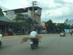 Ảnh bìa bài viết 393459