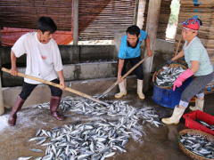 Ảnh bìa bài viết 393658