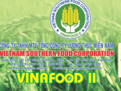 Ảnh bìa bài viết 393772